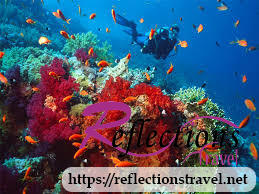 Day excursion Snorkeling in Taba