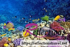Private Day Excursion to Red Sea from Luxor