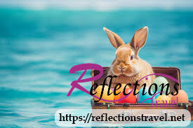 Easter Vacation Trip Cairo Luxor and Aswan Nile Cruise by Air